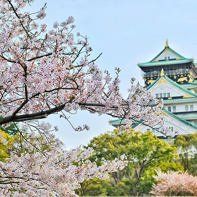 兰州宠物交易平台电话（兰州宠物交易市场）